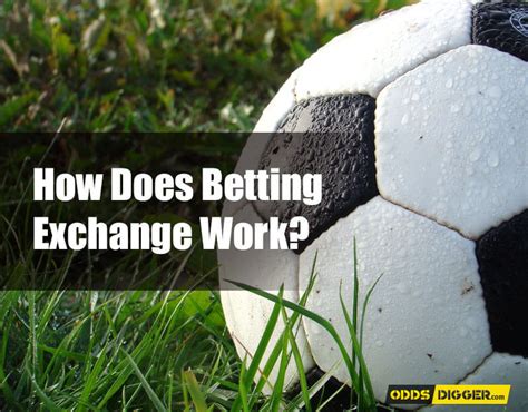betting exchange how does it work|How to Use a Betting Exchange .